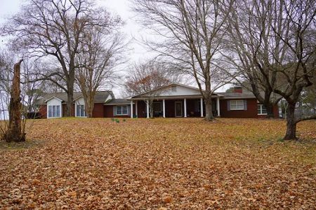 Bama Bison RV Park & Farm