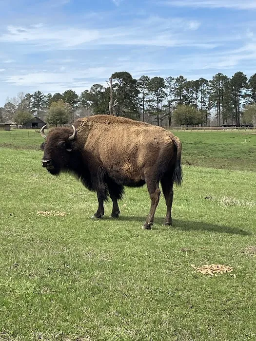 Bama Bison RV Park & Farm 5