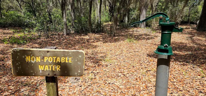 Etoniah State Forest Campground 1