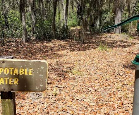 Etoniah State Forest Campground
