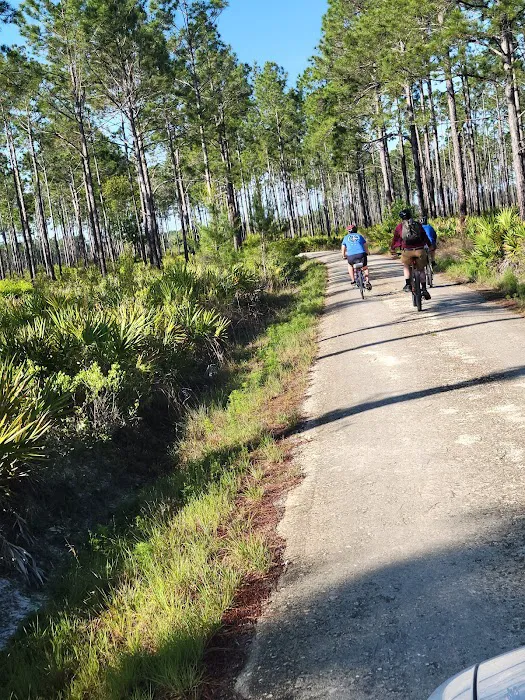 Etoniah State Forest Campground 2
