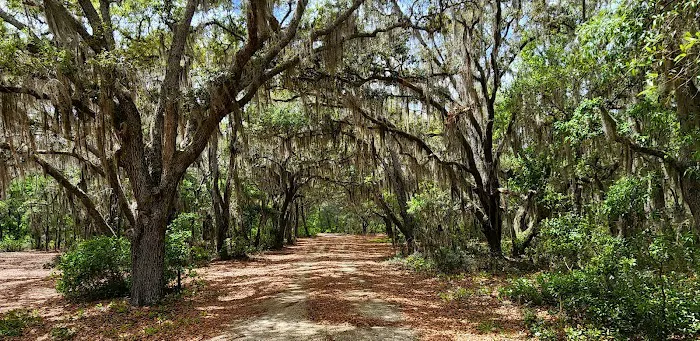 Etoniah State Forest Campground 10