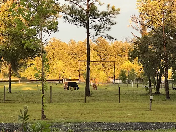 Trails End Outdoors RV Park & Cabins 5