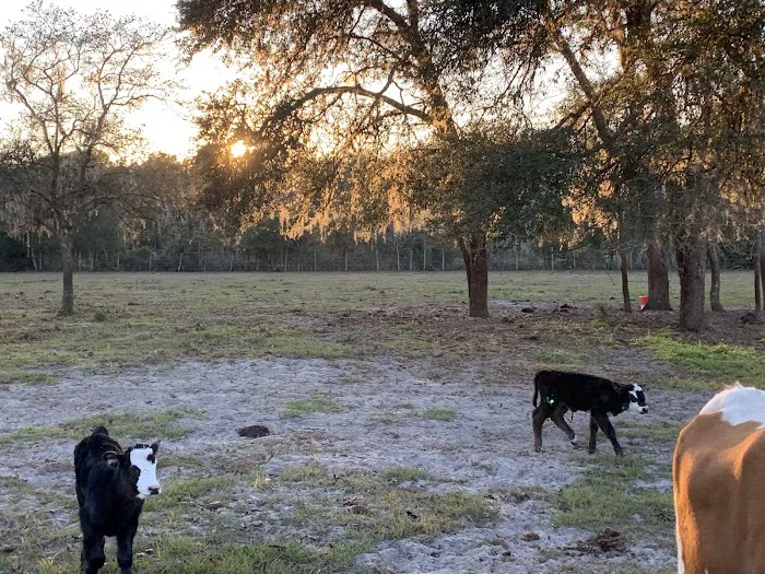 Trails End Outdoors RV Park & Cabins 8