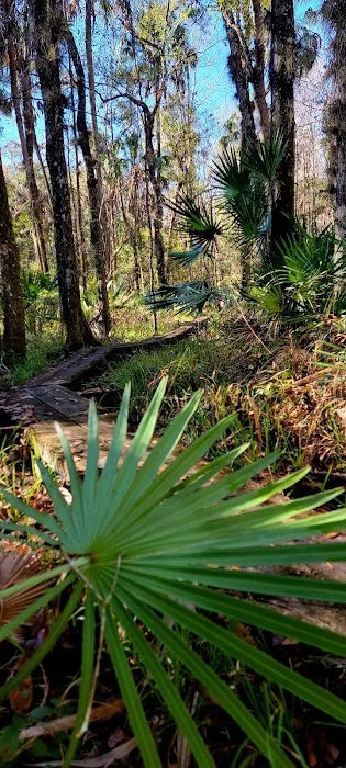 Oak Hammock Camp/Rice Creek Hilton 4