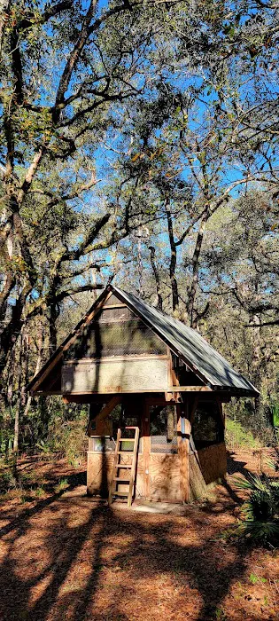 Oak Hammock Camp/Rice Creek Hilton 2