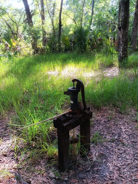 Oak Hammock Camp/Rice Creek Hilton 6