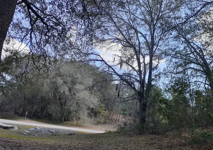 Rodman Campground 3