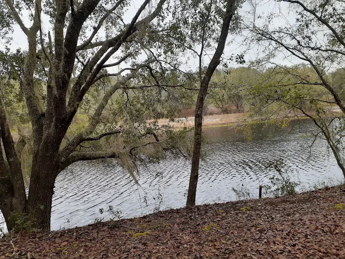 Rodman Campground 6
