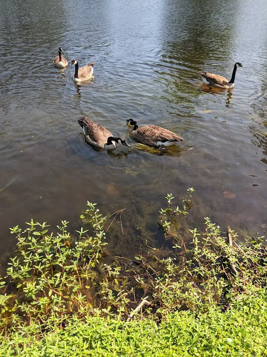 Orange Park North Mobile Home Park 4