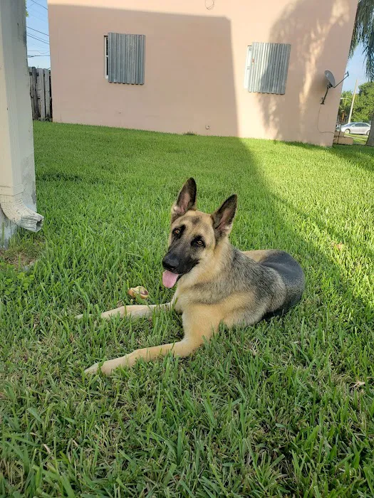 Orange Park North Mobile Home Park 10