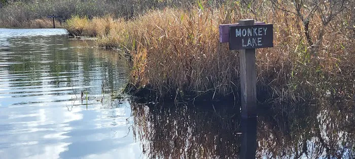 Monkey Lake Canoe Shelter 9