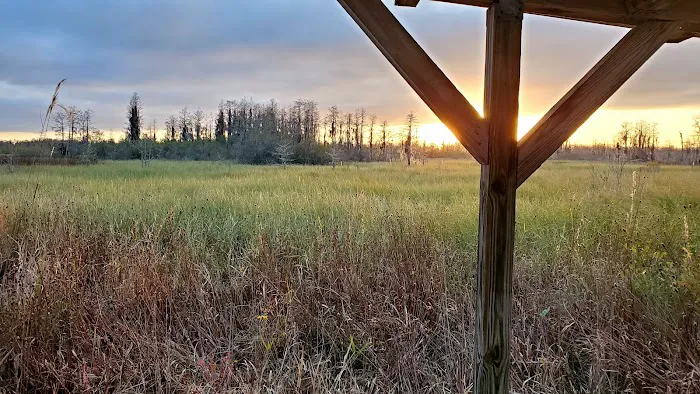 Cedar Hammock Canoe Shelter 10