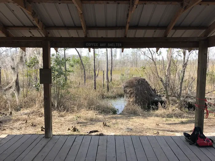 Okefenokee Pastimes Cabins and Campground 3