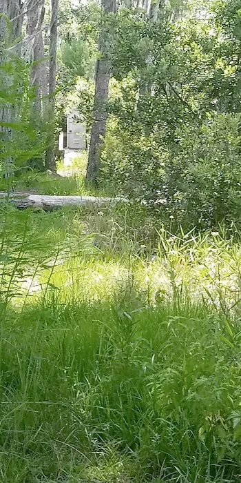 Okefenokee Pastimes Cabins and Campground 8