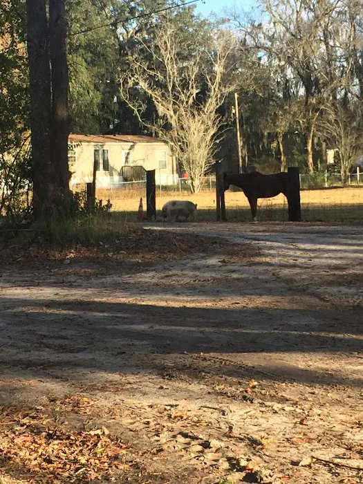 Thompson Mill RV Park 4