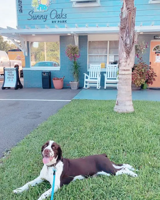 Sunny Oaks RV Park 10