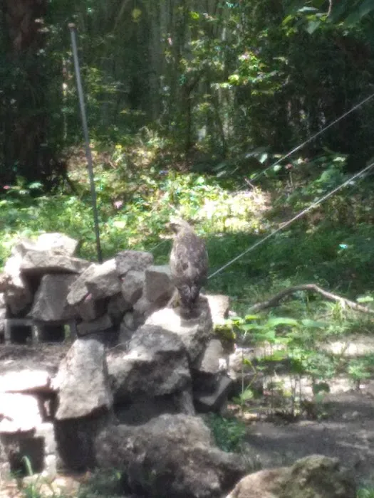 Sunny Oaks 4