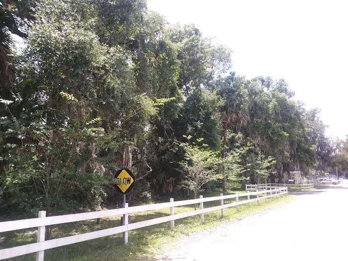 Sunny Oaks 8