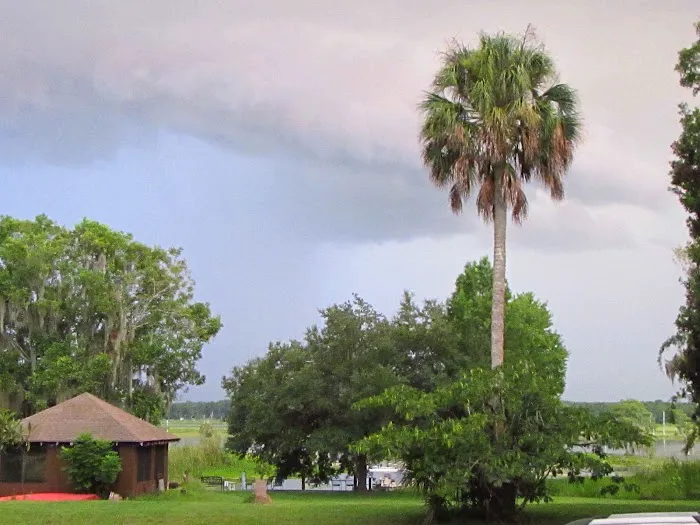 Withlacoochee Backwaters RV & MH Park 6