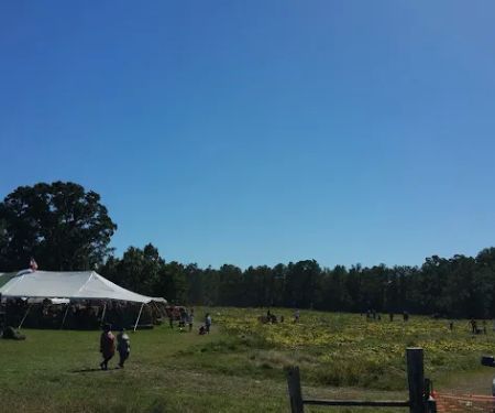 Oak Bend Village