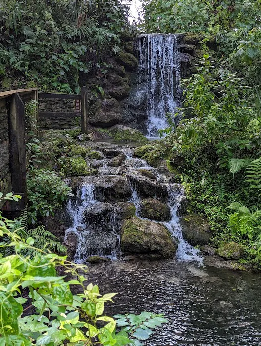 Rainbow Springs State Park Campground 7