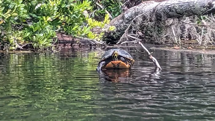Rainbow Springs State Park Campground 9