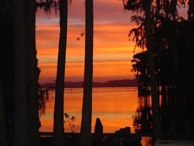 Lake Rousseau RV Resort 9
