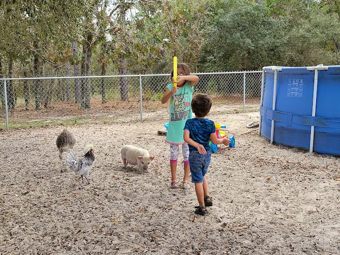 Happy Campers Rescue Ranch 10