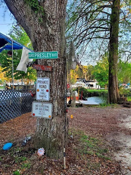 Fisher's Marina & Campground 8