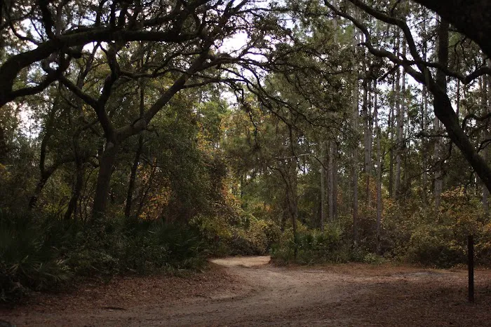 Davenport Landing Trailhead, Ocala National Forest 3