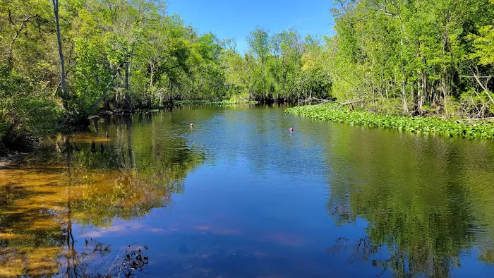 Davenport Landing Trailhead, Ocala National Forest 1