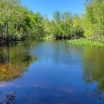 Davenport Landing Trailhead, Ocala National Forest