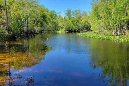 Davenport Landing Trailhead, Ocala National Forest