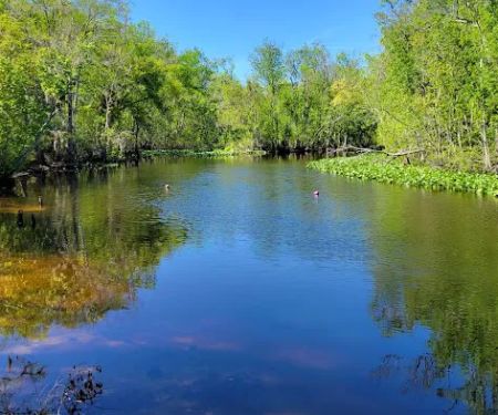 Davenport Landing Trailhead, Ocala National Forest