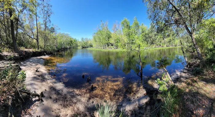 Davenport Landing Trailhead, Ocala National Forest 4