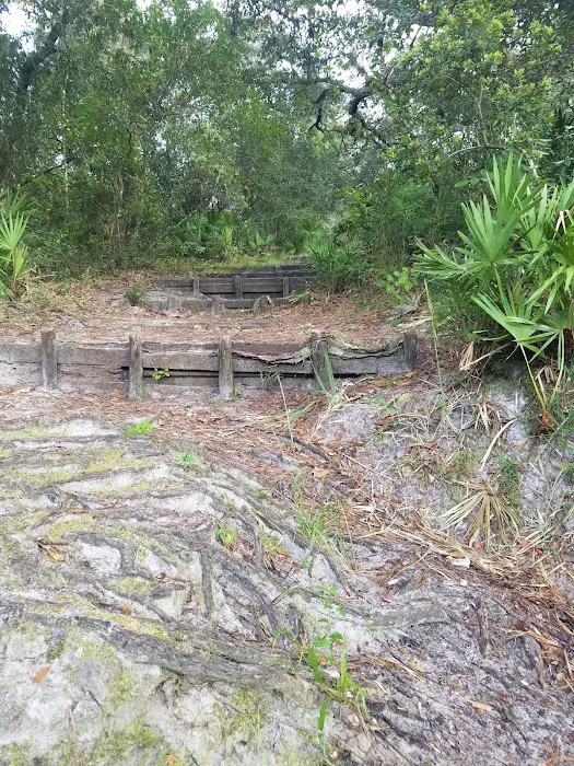 Davenport Landing Trailhead, Ocala National Forest 9