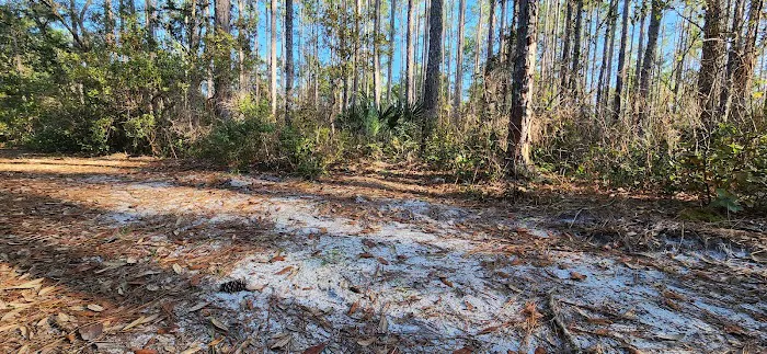 Davenport Landing Trailhead, Ocala National Forest 10