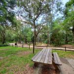 Lake Delancy West OHV Campground