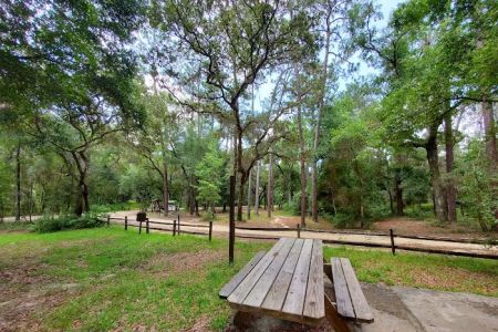 Lake Delancy West OHV Campground