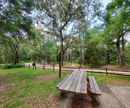 Lake Delancy West OHV Campground