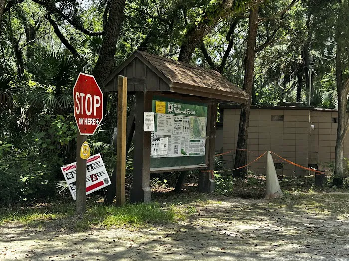 Fore Lake Campground/Silver Springs 1
