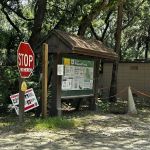 Fore Lake Campground/Silver Springs