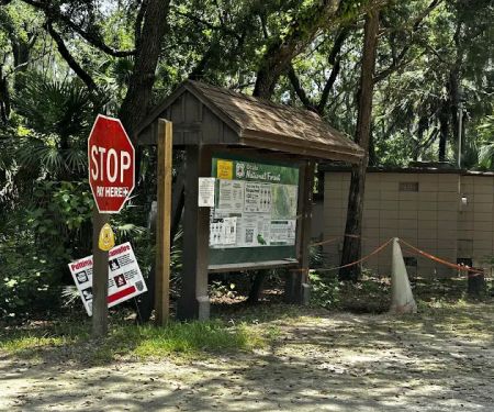 Fore Lake Campground/Silver Springs