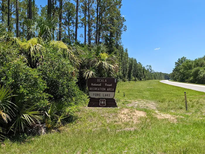 Fore Lake Campground/Silver Springs 6