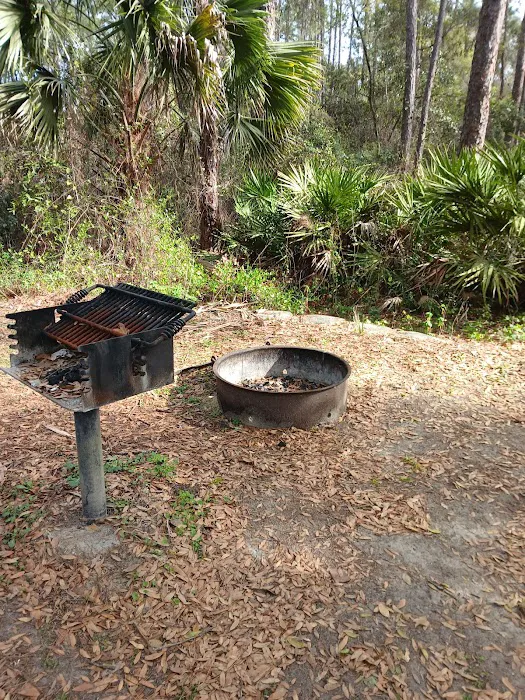 Fore Lake Campground/Silver Springs 7