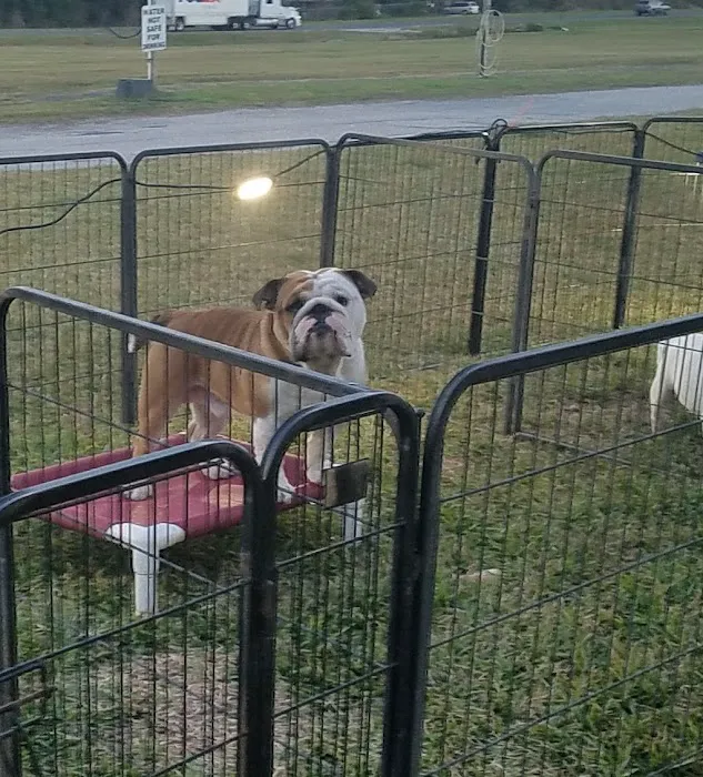 Wandering Oaks RV Park 1