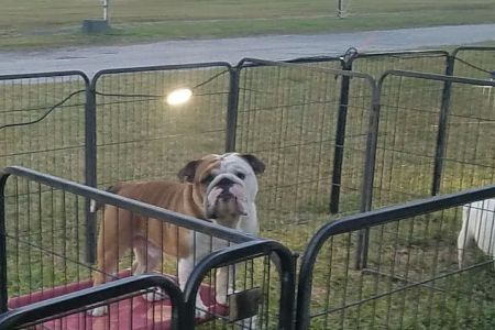Wandering Oaks RV Park