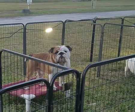 Wandering Oaks RV Park