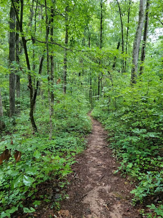 High Falls State Park River Campground 4